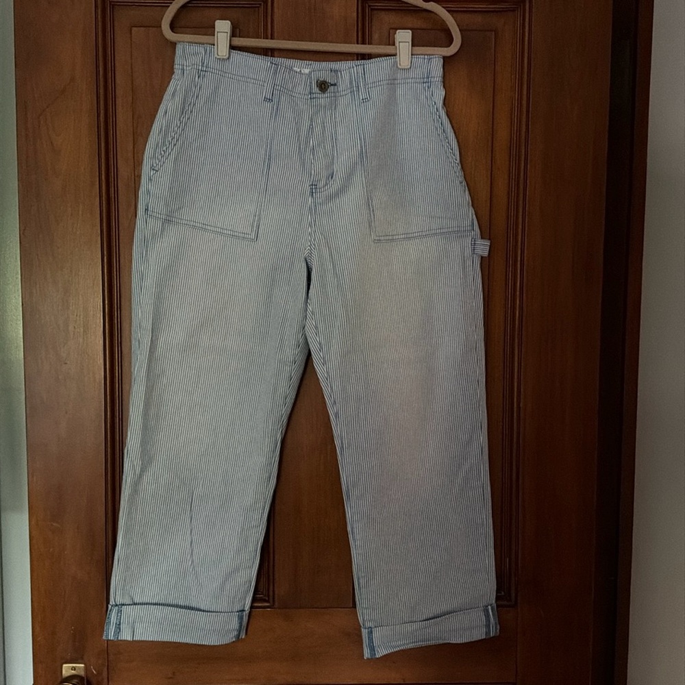 Carve Designs Indigo Stripe Corey Pants 12